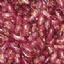 sell red speckled kidney beans, purple speckled kidney beans